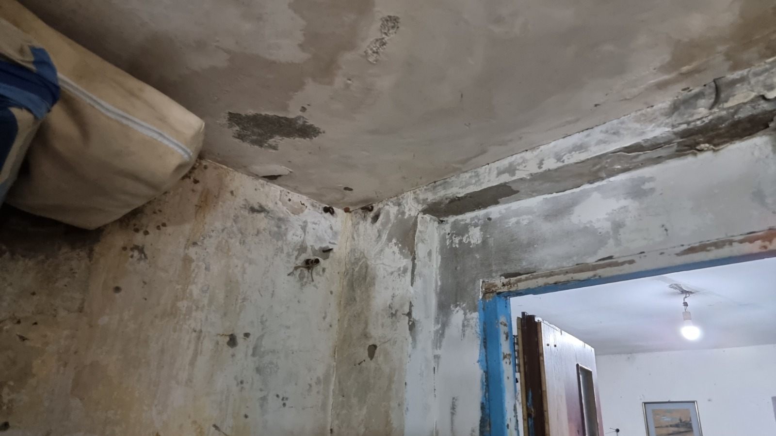 WhatsApp Image 2021-08-13 at 9.56.18 PM (1).jpeg